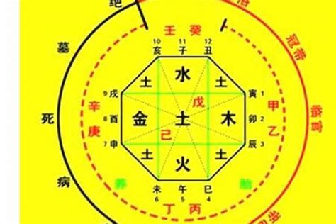 八字喜用神怎麼看|免費生辰八字五行屬性查詢、算命、分析命盤喜用神、喜忌